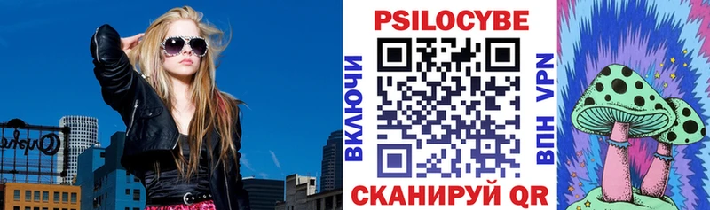 Псилоцибиновые грибы ЛСД Волжский